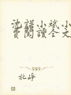 沈诺小斌小说免费阅读全文最新章节