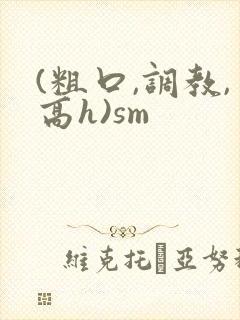 (粗口,调教,高h)sm