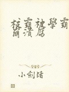 校霸被学霸玩到崩溃腐