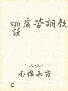 sm痛苦调教小说