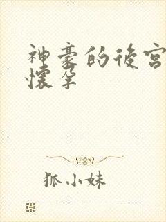 神豪的后宫日常怀孕