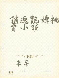 销魂艳婢桃儿免费小说