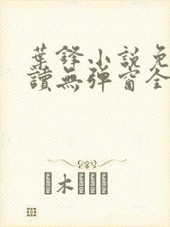 叶锋小说免费阅读无弹窗全文封面