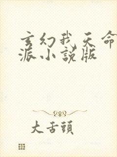 玄幻我天命大反派小说版封面