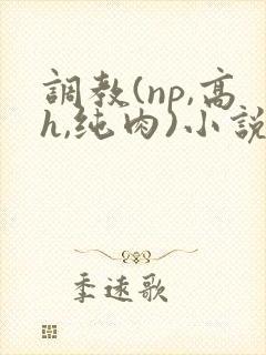 调教(np,高h,纯肉)小说