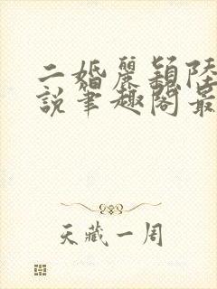 二婚丽颖陆成小说笔趣阁最新章节列