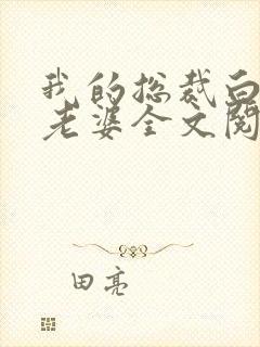 我的总裁白富美老婆全文阅读免费