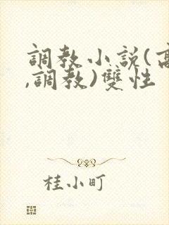 调教小说(高h,调教)双性