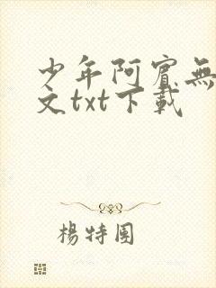少年阿宾无删全文txt下载
