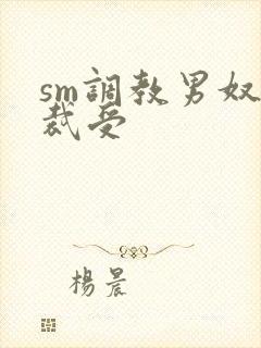 sm调教男奴总裁受