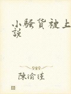 小骚货被上的小说