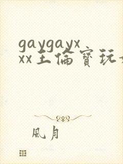 gaygayxxx王伦宝玩奴封面