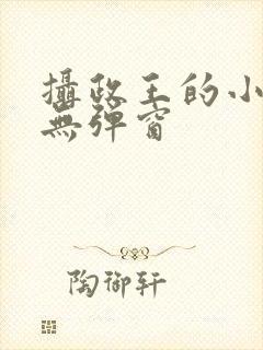 摄政王的小闲妻无弹窗