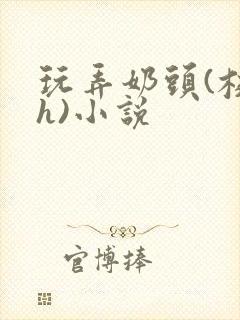 玩弄奶头(校园h)小说