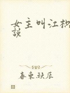 女主叫江枳的小说