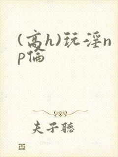 (高h)玩淫np伦