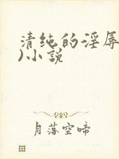 清纯的淫辱(h)小说