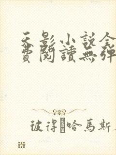 天影小说全文免费阅读无弹窗