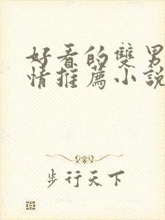 好看的双男主言情推荐小说