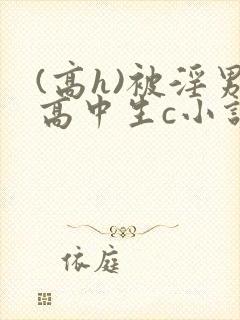 (高h)被淫男高中生c小说