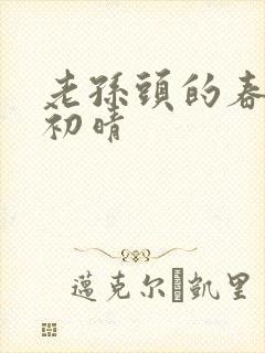老孙头的春天林初晴