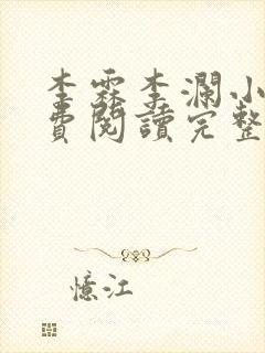 李霖李澜小说免费阅读完整版