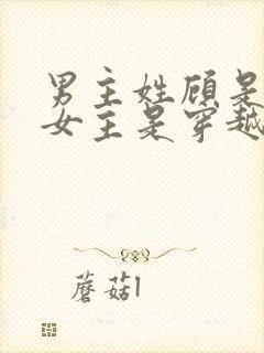 男主姓顾是丞相女主是穿越