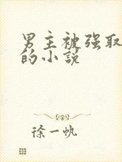 男主被强取豪夺的小说封面