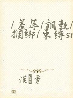 /羞辱/调教/捆绑/束缚sm双男