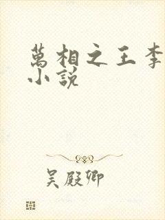 万相之王李洛的小说