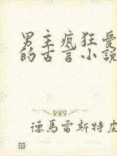 男主疯狂爱女主的古言小说封面