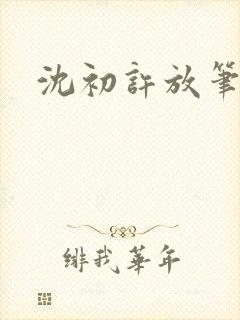 沈初许放笔趣阁