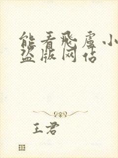 能看飞卢小说的盗版网站