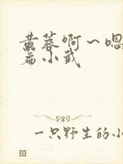 黄蓉啊～嗯啊h篇小武