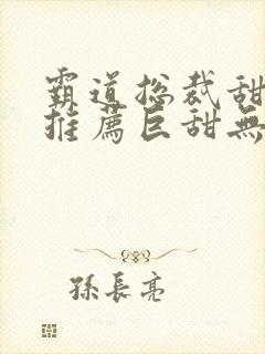 霸道总裁甜宠文推荐巨甜无虐