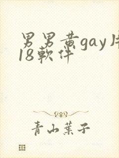 男男黄gay片18软件