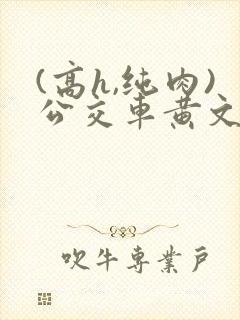 (高h,纯肉)公交车黄文