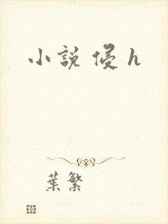 小说 侵 h