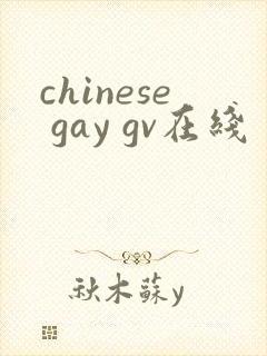 chinese gay gv在线