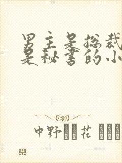 男主是总裁女主是秘书的小说