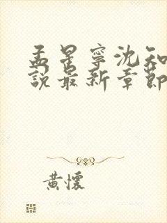 孟星宁沈知聿小说最新章节免费阅读