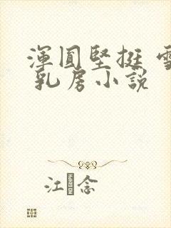 浑圆坚挺 雪白 乳房小说