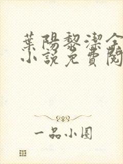 叶阳黎洁余秋水小说免费阅读