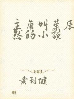 主角叫叶辰萧初然的小说