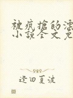 被疯抢的漂亮攻小说全文免费阅读无弹窗