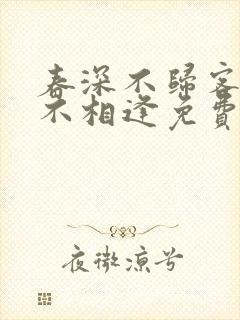 春深不归客清梦不相逢免费全文封面