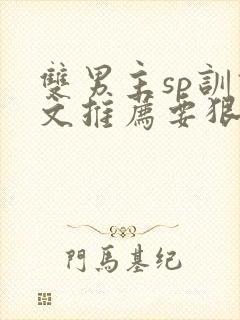 双男主sp训诫文推荐要狠的