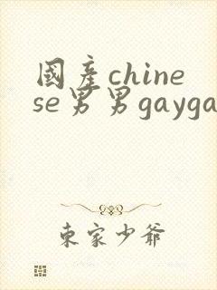 国产chinese男男gaygay网站