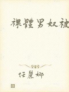 裸体男奴被调教