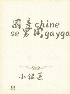 国产chinese男同gaygay网站